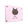 Plaque funéraire chat-cartoon 20 Plaquedeces.fr